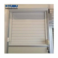 Puerta y ventana de persiana enrollable de aluminio de color personalizado motorizado a prueba de tormentas