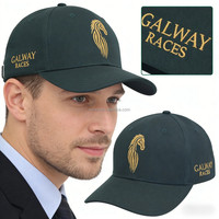 Op maat gemaakte waterdichte geborduurde golf- en baseballcap met gebogen klep, unisex