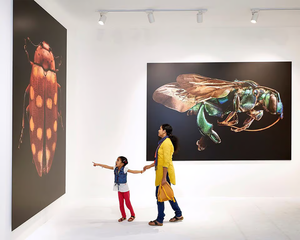 Encre <span class=keywords><strong>UV</strong></span> souple de grande qualité pour imprimante <span class=keywords><strong>UV</strong></span> rouleau à rouleau super grand format EFI <span class=keywords><strong>VUTEk</strong></span> GS 5000r - Product Image 6