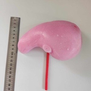 KyrenMed Modelo Treinamento Fígado Humano Silicone Modelo Prática Cirurgia Hepática para Prática Cirurgia Hepática - Product Image 2