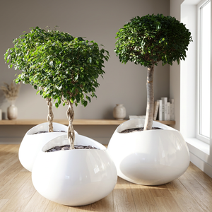Maceta Decorativa de Fibra de Vidrio de Alta Calidad, Maceta Grande para Flores, Contenedor Moderno para Plantas, para Hogar, Oficina, Balcón, Hotel - Product Image 1