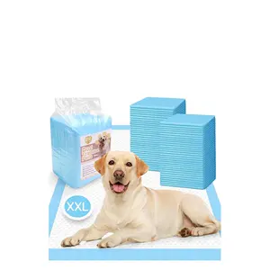 Fournitures d'entraînement pour animaux de compagnie tampons d'entraînement jetables super absorbants pour urine de chien chiot