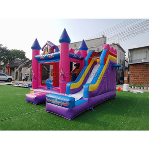 Cầu Trượt Nước Cầu Trượt Bơm Hơi Chất Lượng Cao Cho Sân Sau Cầu Trượt Nước Bơm Hơi Khô Tùy Chỉnh Trượt Nước Công Chúa Bật Lên - Product Image 1