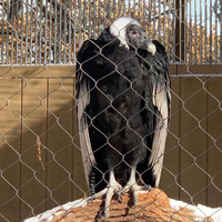 Filet de protection en maille flexible en acier inoxydable tissé à la main pour volières de zoo, grandes cages à oiseaux et enclos animaliers