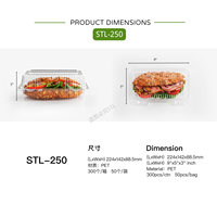 Contenitore per Alimenti Monouso in PET Riciclabile 9x5 Pollici con Design in Rilievo per Fette di Torta e Dessert