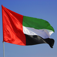 Produit promotionnel 3x5ft 100% Polyester drapeau de dubaï drapeau des émirats arabes unis drapeau personnalisé des émirats arabes unis