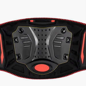 Profesyonel motosiklet böbrek kemer tüm yuvarlak Anti sonbahar bisiklet bel koruyucu Brace siyah kırmızı PP kabuk sürme için - Product Image 4