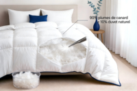 Couette de luxe en duvet de coton et plumes de canard, avec remplissage de duvet et plumes, design à compartiments, blanche unie, pour la literie de la maison