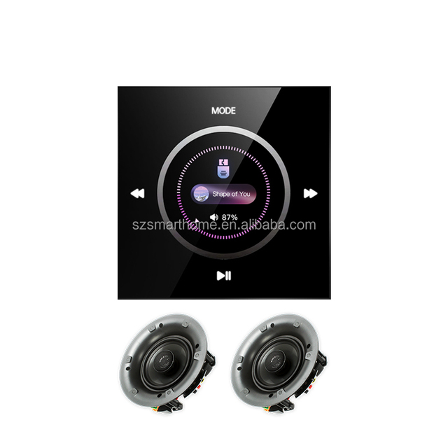 2 Channel 25W HiFi Audio Blue-tooth Wall Amplifier for Home Audio Touch Screen with Knob Smart Home Smart Background Music Host