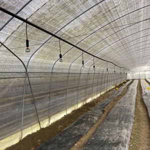 Low <strong>Cost</strong> High Commercial Agricultural <strong>Poly</strong> <strong>Tunnel</strong> Grow Tent System Mushroom Greenhouse for Flowers Plant - Product Image 2