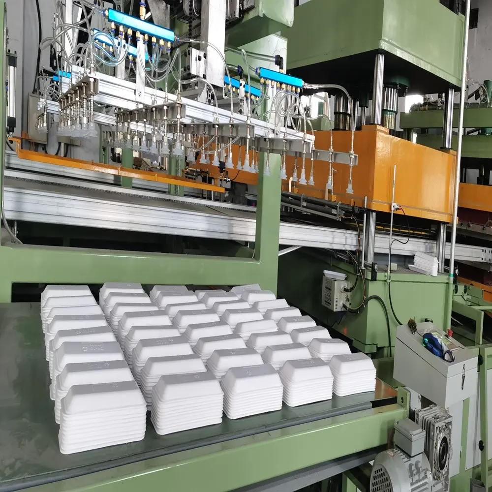 PS 거품 기계를 만드는 처분할 수 있는 음식 격판덮개 상자 접시 쟁반 (HY-1100x1400)