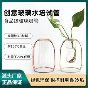 Seeking Excellence Glass Hydroponic Test Tubes 38mm Modern Minimalist Style For Home <b>Office</b> Desktop Decor - Product Image 5