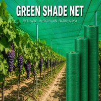 Kassen schaduwnet HDPE UV-behandeld zonwerend schaduwdoek voor wijngaard druivenbescherming