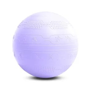 Новый устойчивый мяч для упражнений для пилатеса 55 дюймов 65 см, мяч для йоги из ПВХ, швейцарский мяч с инструкцией для тренировок
