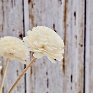 Tige de fleur d'arôme en rotin 4,5 cm, chrysanthème séché, décoration centrale pour la maison, diffuseur d'aromathérapie - Product Image 4