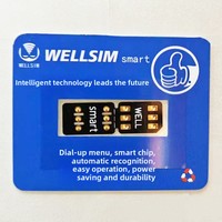 Kartu SIM Pintar Wellsim QPE untuk iPhone 6P/7P/8G/8P/X/XS/XSmax/XR/IP11/12pro/13pro/14pro/16 Pro Max-Mendukung Ponsel Terbaru