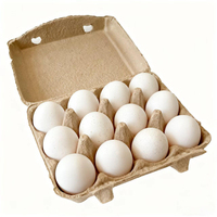 Scatola per 12 Uova Riutilizzabile Ecologica Biodegradabile in Cartone Ondulato Impermeabile Stile 3x4