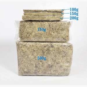 Mousse de sphaigne spécialement sélectionnée pour les besoins de rempotage et de rempotage d'orchidées assurant une rétention optimale de l'humidité et une aération des racines - Product Image 2