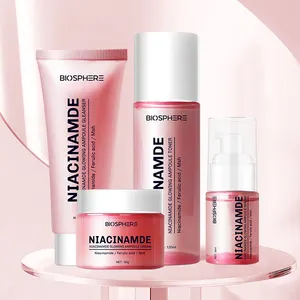 Nicotinamide Hautpflege-Kit Bio Private Label Logo Frauen Gesichts glühende Produkte Creme White ning Hautpflege-Set