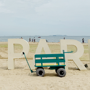 Bãi biển Ngoài trời giỏ hàng với bóng lớn bánh xe Heavy Duty điện 4 bánh xe lưới nền tảng hàng hóa bãi biển giỏ hàng xe đẩy - Product Image 5