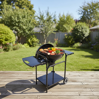 Barbecue à charbon de bois moderne en fer pour extérieur avec deux tables latérales, portable pour jardin, fête en plein air, camping