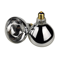 Ampoules thermiques pour buffet d'aliments, lampes pour restaurant ou une promotion, 220V 275W, 2 pièces
