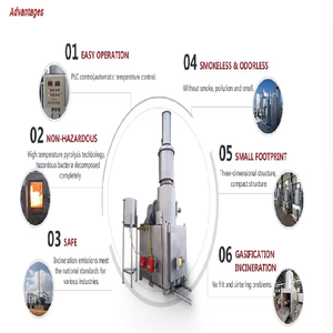 Incinérateur d'animaux domestiques sans fumée à faible coût (20-500 kg) et incinérateur de carcasses d'animaux - Product Image 5