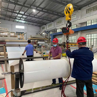 Prix d'usine, vente en gros de bande transporteuse en PP pour fumier de volaille, fabricant direct d'usine