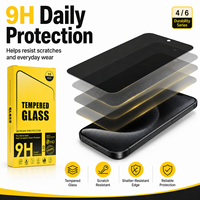 Protection d'écran en verre trempé anti-espion 2.5D haute résistance 9H ultra-mince 0.33mm pour 17 16 14 15 Pro Max