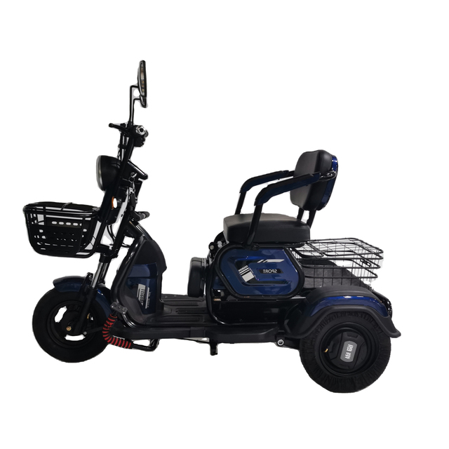 2025 Stylish 3-Wheel Electric Scooter High Capacity Lead Acid Battery Energy-Saving Brushless Motor Open Body 30-50km Range