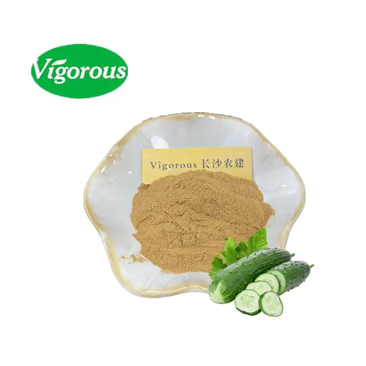 Bột Nước Ép Dưa Chuột Chất Lượng Cao ISO 10:1 Bột Cucumis Sativus Chiết Xuất Dưa Chuột Hữu Cơ Cho Thực Phẩm