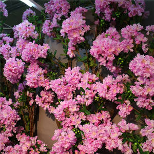 Crape Myrtle flores de seda Bougainvillea venta al por mayor de flores artificiales para Casa Fiesta <span class=keywords><strong>Photostudio</strong></span> Decoración - Product Image 3
