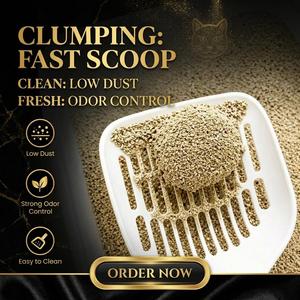 Échantillon Gratuit OEM Litière pour Chat à Fort Pouvoir Agglomérant à Base de Bentonite, Contrôle Supérieur des Odeurs, Faible Émission de Poussière Naturelle, Idéale pour les Foyers Multi-Chats en Intérieur - Product Image 1