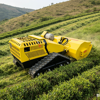 Tondeuse à gazon télécommandée 800 1000 mm de largeur de coupe Portée de 200 m Précision et efficacité Bouton d'arrêt d'urgence à une touche