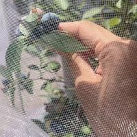 HDPE Tuin Insectengaas Anti-Vogelnet Fruitboom Beschermingsgaas voor Moestuin Kas