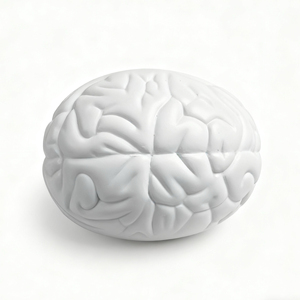 Jouet anti-stress en mousse PU en forme de cerveau - Cadeau promotionnel personnalisable pour les événements et les campagnes - Balle moelleuse - Unisexe, à partir de 8 ans - Product Image 3