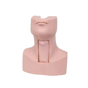Tiên tiến y tế manikin Trùng Khánh phạm vi giảng dạy mannequin SC-J58 <span class=keywords><strong>tracheostomy</strong></span> mô hình Đào Tạo - Product Image 1