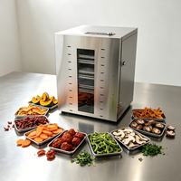 Commerciële RVS Voedseldehydrator met Meerdere Trays voor Fruit, Groenten, Vlees en Gedroogd Vlees
