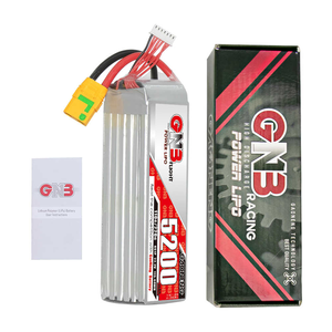 Batería de polímero de litio GAONENG GNB 5200mAh 6S 22.2V 110C XT60 XT90S Anti-RC, molde privado para aeronaves RC y aviones de ala fija - Product Image 1