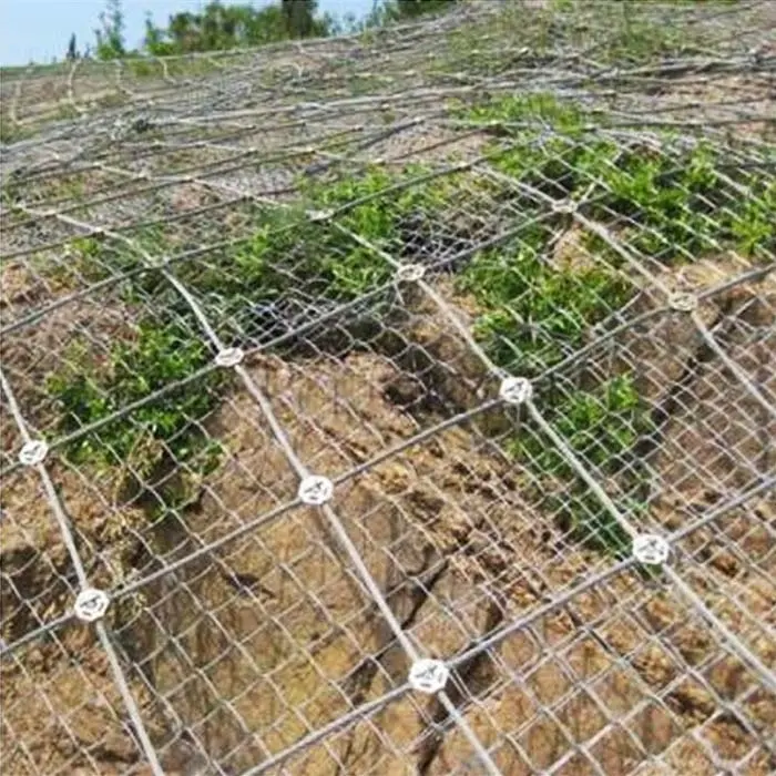 Jaring stabilisasi kemiringan aktif kekuatan tinggi penghalang rockfall/penghalang perlindungan/tali kawat baja tahan karat jaring kawat heksagonal