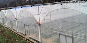 <span class=keywords><strong>Petite</strong></span> <span class=keywords><strong>serre</strong></span> domestique avec plaque de <span class=keywords><strong>verre</strong></span>, <span class=keywords><strong>serre</strong></span> de jardinage d'hiver, serres agricoles, catégorie de produits - Product Image 6