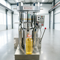 Nouvelle Presse à Huile Hydraulique Entièrement Automatique pour l'Extraction d'Huile de Sésame et d'Arachide, en Acier Inoxydable, Haute Productivité, Petite Taille