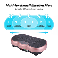 Hochwertige Mini-Körper vibrations maschinen platte Vibrations plattform und Body Shaker Vibrations massage