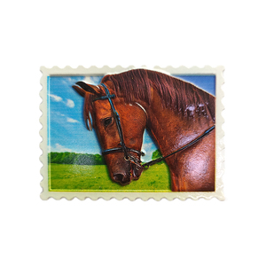 Aimants de réfrigérateur personnalisés avec divers motifs d'animaux, aimants de réfrigérateur en résine imprimés en espagnol, aimants de réfrigérateur personnalisables, décoration de la maison, cadeau - Product Image 5