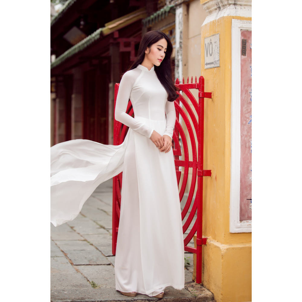 Elegant Vietnamese Traditional Dress Slim Stylish