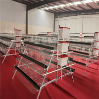 Granja avícola automática de nuevo diseño a bajo precio con sistema de línea de alimentación para producción de huevos Jaulas de capas de 10000 capacidad