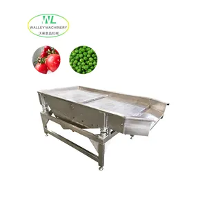 Customizing Decontamination vibrating screen vibrating bed for vegetables
