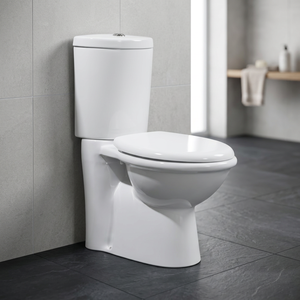 WC en céramique Vistaar à double chasse, à montage mural, avec design européen - Product Image 3
