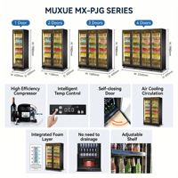 Réfrigérateur-congélateur commercial MUXUE à température unique réglable pour bière, avec 2 portes vitrées et éclairage LED coloré, refroidisseur de boissons