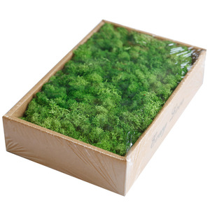 Panneau mural en mousse de renne stabilisée naturelle, véritable, douce, colorée et préservée, personnalisable - Product Image 3